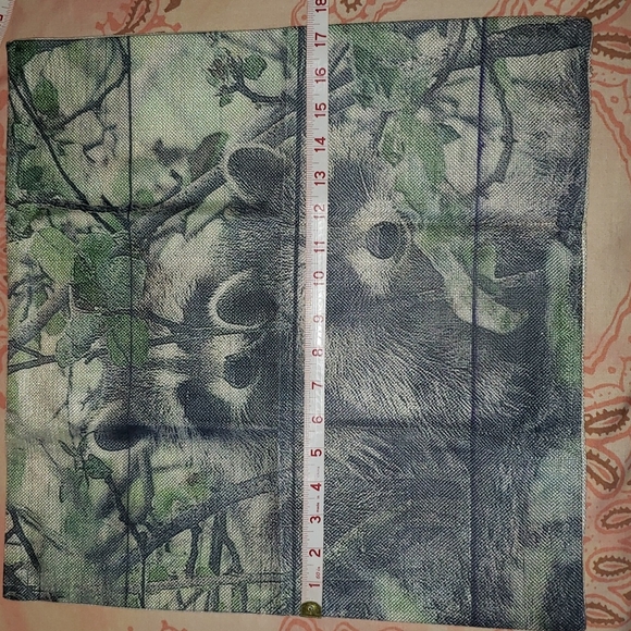 Raccoon Pillow Cover. Real Raccoon. Coon - Picture 9 of 11